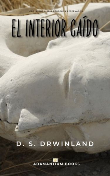 El interior caido - D S Drwinland - Books - Independently Published - 9798548040114 - August 1, 2021