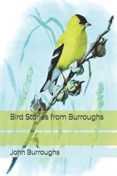 Cover for John Burroughs · Bird Stories from Burroughs (Paperback Book) (2020)