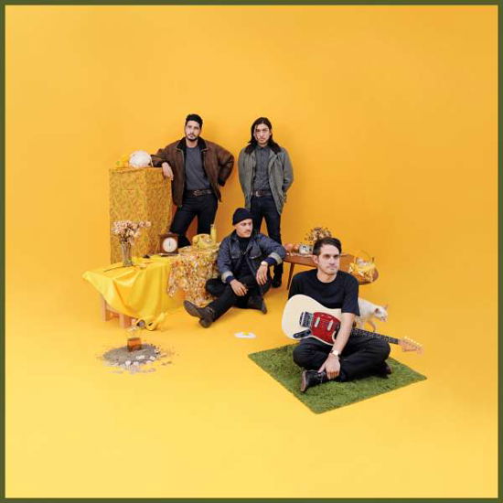 Bulls And Roosters - Together Pangea - Música - NETTWERK - 0067003106115 - 25 de agosto de 2017