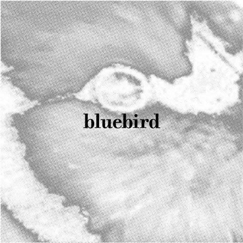 Cover for Bluebird (LP) (1997)