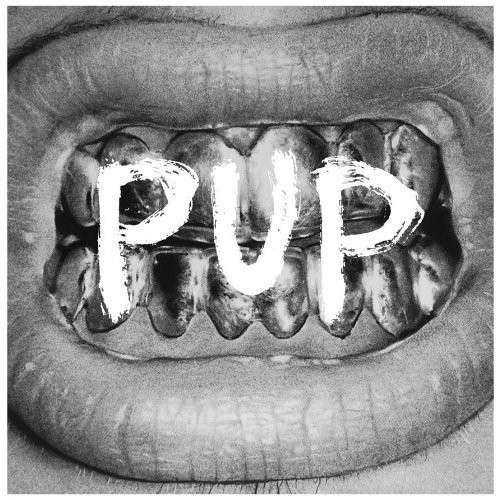 Pup - Pup - Muzyka - SIDE ONE DUMMY RECORDS - 0603967154115 - 7 kwietnia 2014