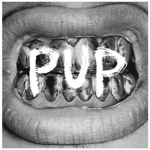 Cover for Pup (LP) (2014)