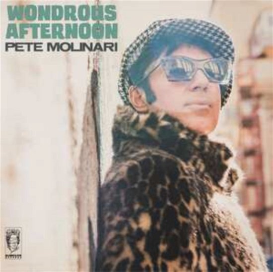 Cover for Pete Molinari · Wondrous Afternoon (LP) (2024)