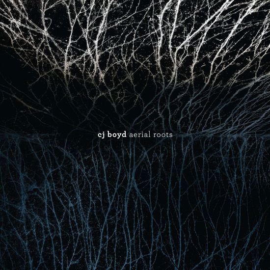 Cover for C.J. Boyd · Aerial Roots (LP)