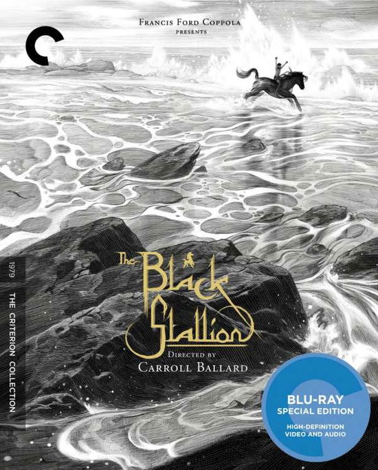 Cover for Criterion Collection · Black Stallion/bd (Blu-ray) [Widescreen edition] (2015)