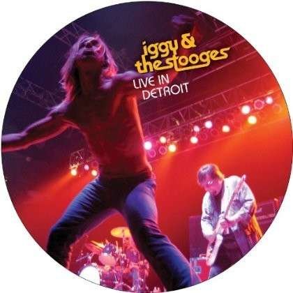 Cover for Iggy &amp; The Stooges · Live in Detroit 2003 (LP) [Picture Disc edition] (2013)