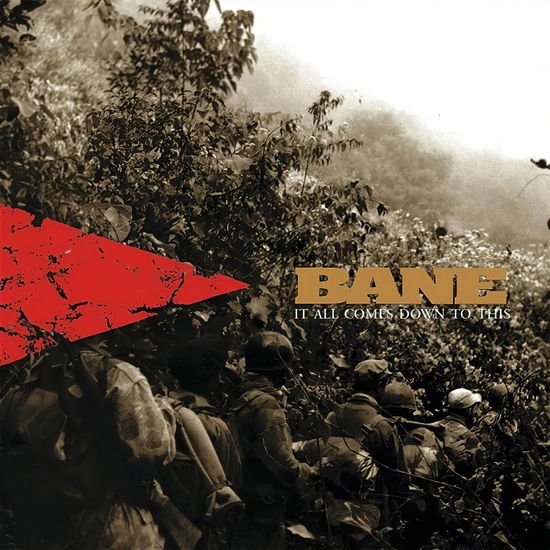 It All Comes Down To This - Bane - Music - EQUAL VISION - 0794558052115 - November 15, 2024