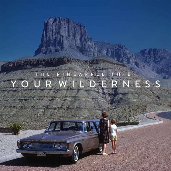Cover for The Pineapple Thief · Your Wilderness (LP) (2016)