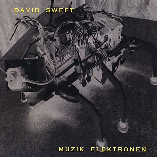 Cover for David Sweet · Muzik Elektronen (CD) (2007)