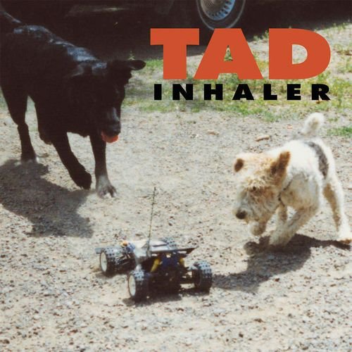 Cover for Tad · Inhaler (LP) (2021)