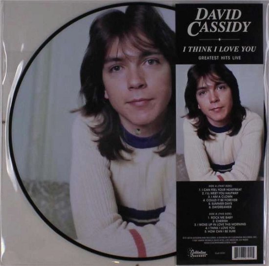Cover for David Cassidy · I Think I Love You - Greatest Hits Live (LP) (2018)