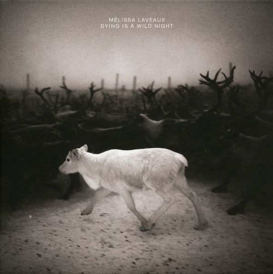 Cover for Melissa Laveaux · Dying is a Wild Night (CD) (2013)