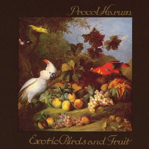 Exotic Birds & Fruit - Procol Harum - Musikk - JVC - 4988002635115 - 4. desember 2012
