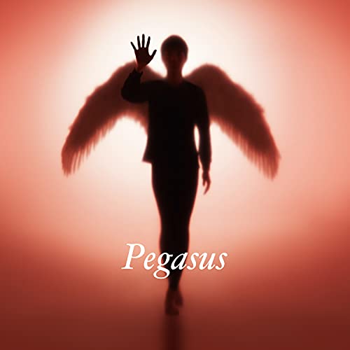 Cover for Tomoyasu Hotei · Pegasus (SCD) [Japan Import edition] (2021)