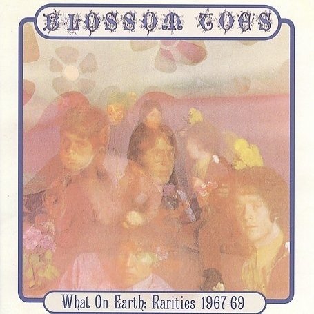 Cover for Blossom Toes · What On Earth (CD) (2009)