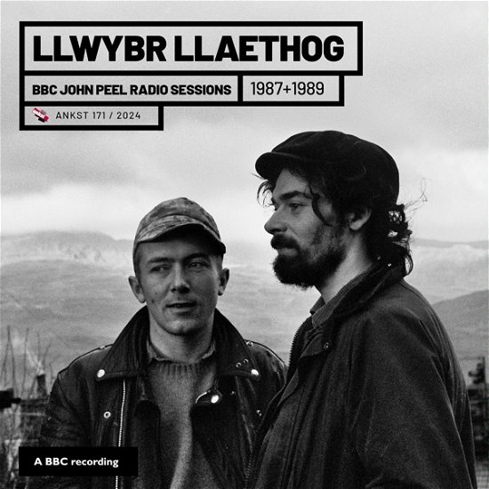 Cover for Llwbyr Llaethog · Bbc John Peel Sessions (1987 &amp; 1989) (LP) (2024)