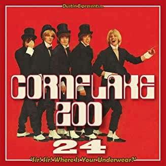 Cornflake Zoo Episode 24 - Dustin E Presents Cornflake Zoo Episode 24 / Var - Música - PARTICLES - 8690116411115 - 22 de janeiro de 2021