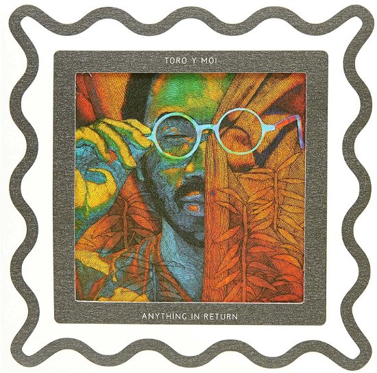 Cover for Toro Y Moi · Anything in Return (CD) (2013)