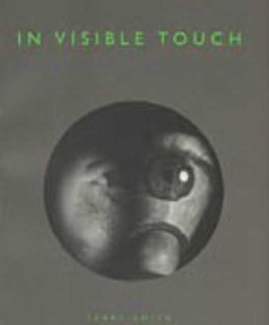 Cover for Terry Smith · In Visible Touch: Modernism and Masculinity (Hardcover Book) [226th edition] (1998)