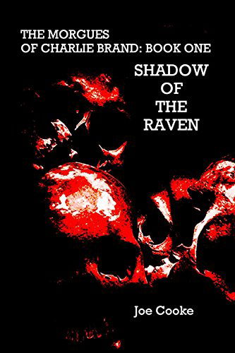 Cover for Joe Cooke · Shadow of the Raven (Pocketbok) (2009)