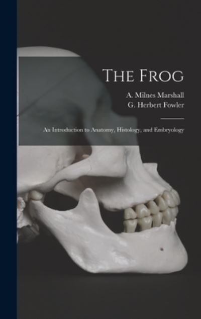 Cover for A Milnes (Arthur Milnes) Marshall · The Frog (Hardcover Book) (2021)