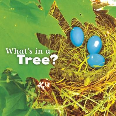 Cover for Martha E H Rustad · What's in a Tree? (Hardcover Book) (2015)