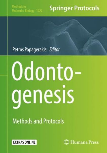 Cover for Papagerakis · Odontogenesis (Book) [1st ed. 2019 edition] (2019)