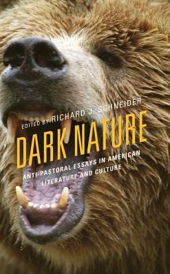Cover for Dark Nature: Anti-Pastoral Essays in American Literature and Culture - Ecocritical Theory and Practice (Hardcover Book) (2016)