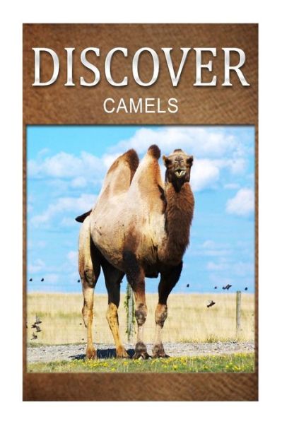 Cover for Discover Press · Camels - Discover: Early Reader's Wildlife Photography Book (Paperback Book) (2014)