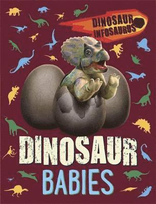 Cover for Katie Woolley · Dinosaur Infosaurus: Dinosaur Babies - Dinosaur Infosaurus (Paperback Book) (2021)