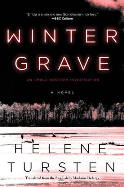 Cover for Helene Tursten · Winter Grave (Paperback Bog) (2020)