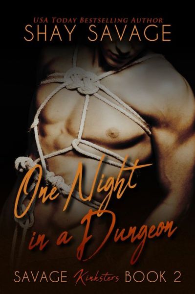 Cover for Shay Savage · One Night in a Dungeon (Paperback Book) (2020)