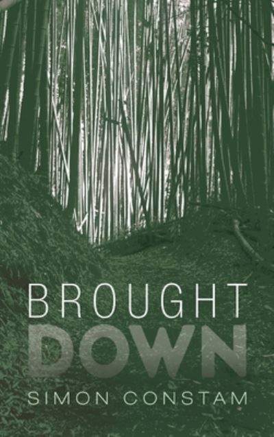Cover for Simon Constam · Brought Down (Hardcover Book) (2022)