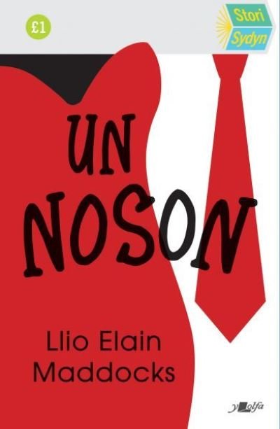 Cover for Llio Elain Maddocks · Stori Sydyn: Un Noson (Paperback Book) (2022)