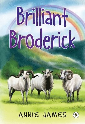 Cover for Annie James · Brilliant Broderick (Paperback Book) (2023)