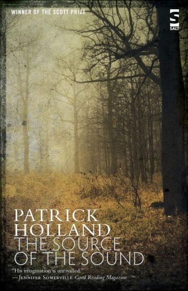 Cover for Mr Patrick Holland · The Source of the Sound (Pocketbok) (2010)