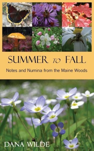 Cover for Dana Wilde · Summer to Fall (Pocketbok) (2016)