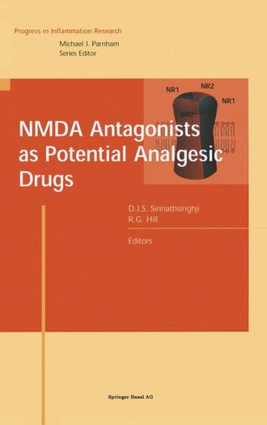 Cover for Raymond G. Hill · NMDA Antagonists as Potential Analgesic Drugs - Progress in Inflammation Research (Hardcover Book) [2002 edition] (2002)