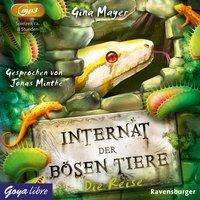 Cover for Mayer · Internat der bösen Tiere (N/A)