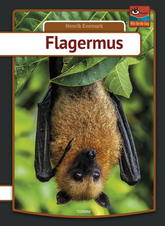 Cover for Henrik Enemark · Min første bog: Flagermus (Hardcover Book) [1.º edición] (2019)