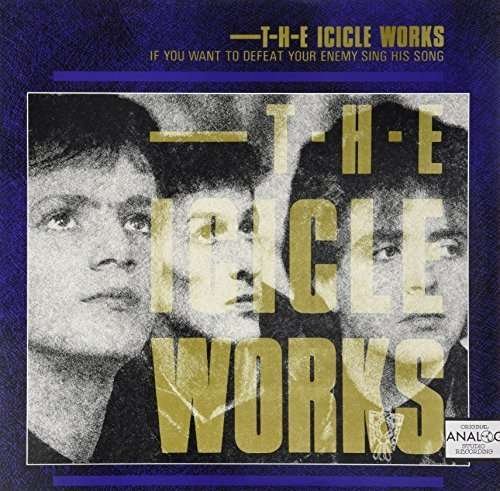 Cover for Icicle Works · If You Want to Defeat Your Enemy (LP) (2015)