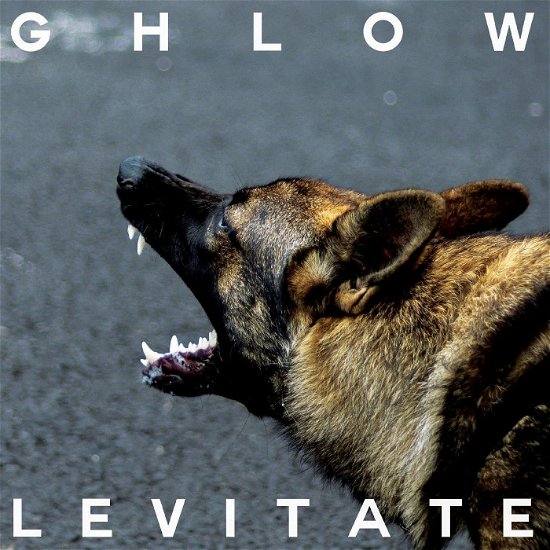 Levitate - Ghlow - Musik - PNKSLM Recordings - 0634457164116 - 8. marts 2024