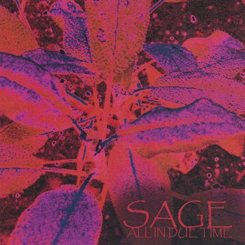 Cover for Sage · All in Due Time (CD) (2004)