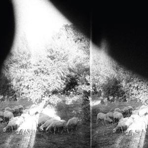 Cover for Godspeed You! Black Emperor · Asunder, Sweet &amp; Other Distress (LP) [180 gram edition] (2015)