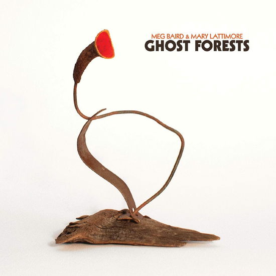 Ghost Forests (Green Vinyl) - Baird, Meg and Mary Lattimore - Music - FOLK - 0711574922116 - March 18, 2022