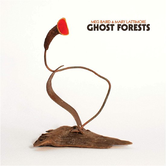 Cover for Meg And Mary Lattimore Baird · Ghost Forests (GREEN VINYL) (LP) (2022)