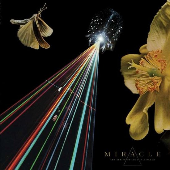 Cover for Miracle · Strife Of Love In A Dream (LP) (2018)
