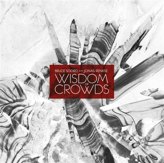 Cover for Bruce Soord &amp; Jonas Renkse · Wisdom Of Crowds (LP) (2020)