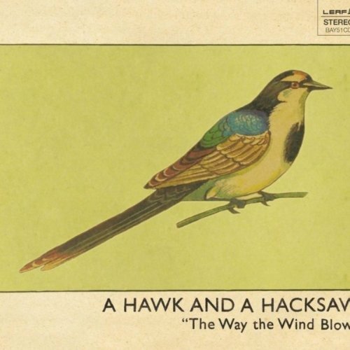 Cover for A Hawk And A Hacksaw · The Way The Wind Blows (LP) (2016)
