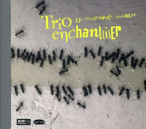 Composantes Invisibles - Trio Enchantier - Musiikki - NAIVE - 3298496221116 - tiistai 13. marraskuuta 2012